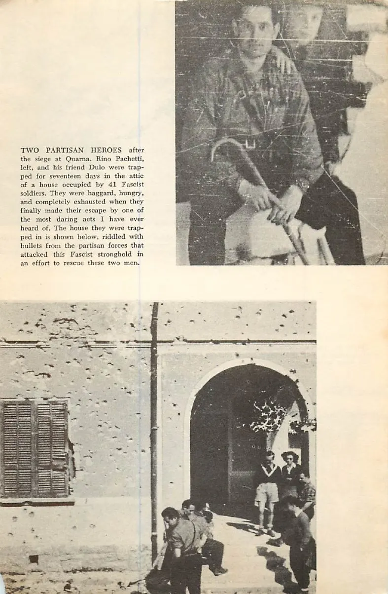 Gallery PDF page 9