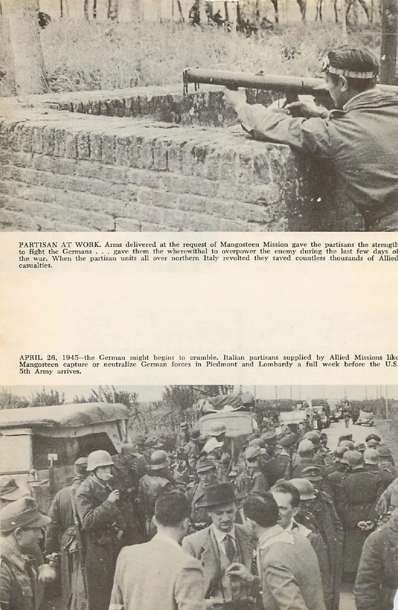 Gallery PDF page 10